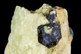 Lazurite Crystal in Calcite Matrix - Afghanistan #111799-1